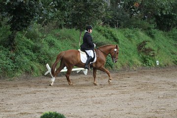 Bild 120 - WBO-Turnier am 18.9.11